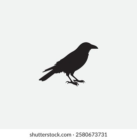 crow outline silhouette graphic element Illustration template design