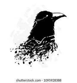 A crow painted in ink, a crow's head, a grunge. Detailed drawing of the crow
