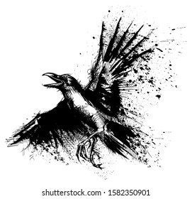 Crow painted in ink on a white background. Detailed vector flying  raven.