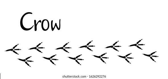 Crow paw print vector icon. Crow flat sign. Animal footprint. Crow print silhouette.  Raven footprints. Footprints of a bird. Symbol, logo illustration. 