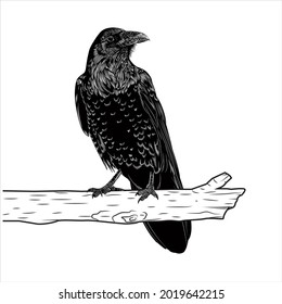 Die Krähe raste auf dem Ast, Vektorgrafik