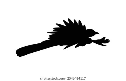 Crow Pheasant Silhouette Design  And Vector Illustration. 