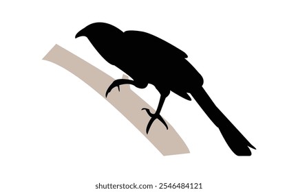 Crow Pheasant Silhouette Design  And Vector Illustration. 