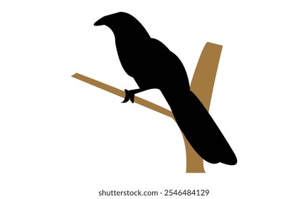 Crow Pheasant Silhouette Design  And Vector Illustration. 