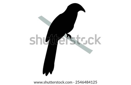 Crow Pheasant Silhouette Design  And Vector Illustration. 