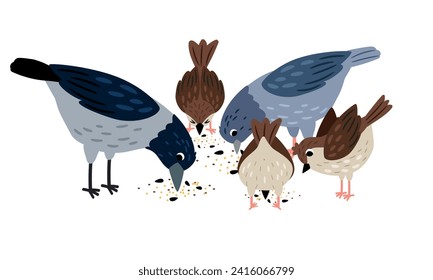 Crow, pigeon, sparrow eat seeds. Collection of cute birds on white background vector illustration of animal seed, sparrow character cute