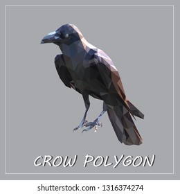 crow polygon, Bird polygon, Animal polygon, Poultry background.