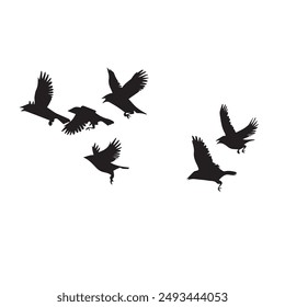 Crow Portable Network Graphics Bird Flock set eps 10