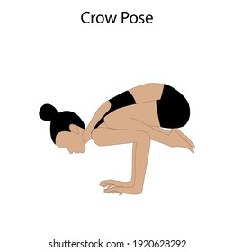 Crow pose yoga workout on the white background. Vector illustration