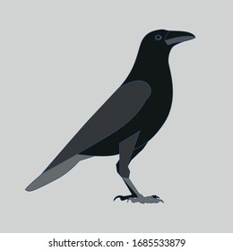Crow raven bird flat vector illustration