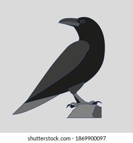 Crow raven bird flat vector illustration