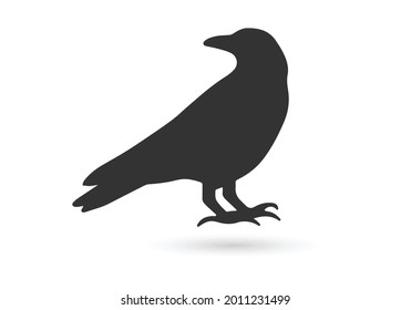 Crow raven bird flat vector illustration