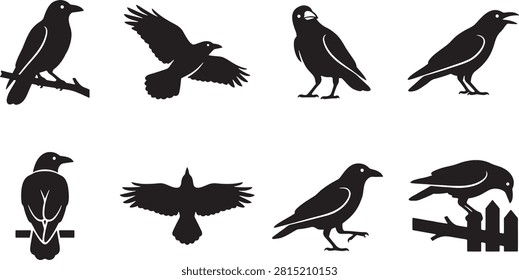 Crow and raven bird silhouettes set in flying sitting and standing poses
