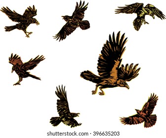 crow, raven, color, flying, vector, silhouette, image