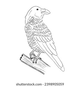 Dibujo de cuerdas o cuervos. Imagen de la ilustración del vector.
