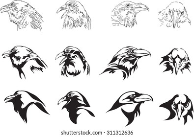 crow, raven, a graphic image, image options