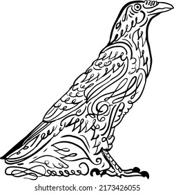 Crow, Raven Hand Drawn Classic Swirl And Doodle Line Art Illustration Design Element