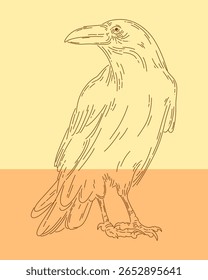 Corvo corvo contorno clip art pássaro vetor ilustração elemento isolado editável