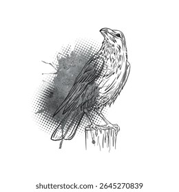 A crow, raven, rook, Original illustration, Hand drawn beautiful black bird