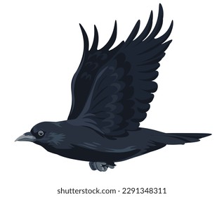 Crow or raven with spread wings in motion, isolated flying large black bird with claws and beak. Fauna and biodiversity of forest or woods. Avian animal, rook and nature. Vector in flat style