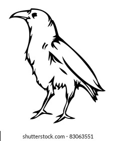 Crow raven , vector illustration