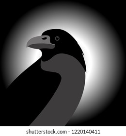 crow raven vector illustration profile view
