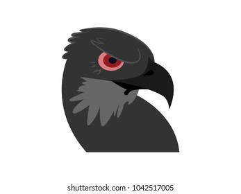 Crow with red eyes.