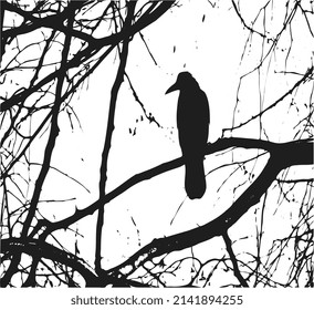 Crow resting on a tree branch
