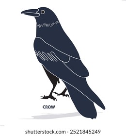 
A crow silhouette black vector artwork illustration
