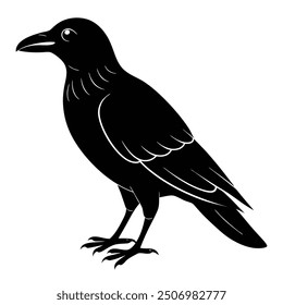 Crow silhouette, black and white victor art illustration eps
