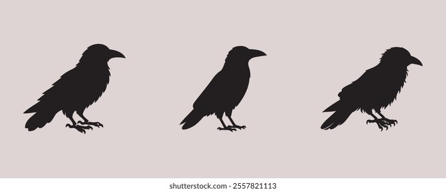 crow silhouette bundle vector illustration