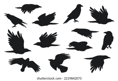 Crow silhouette. Group of flying ravens with feathers beak claw, creative black gothic rook birds for Halloween decoration. Vector isolated set. Wild dark animal characters for holiday