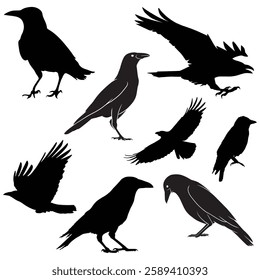 Crow Silhouette, Crow illustration, Crow icon Silhouette, Crow Silhouette illustration