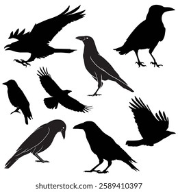 Crow Silhouette, Crow illustration, Crow icon Silhouette, Crow Silhouette illustration