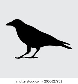 Crow Silhouette, Crow Isolated On White Background