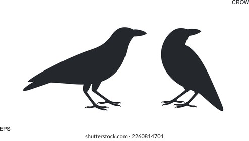 Kreide Silhouette. Einzelne Krähe auf weißem Hintergrund