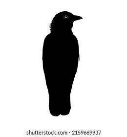 The Crow Silhouette for Logo or Graphic Design Element. Vector Illustration