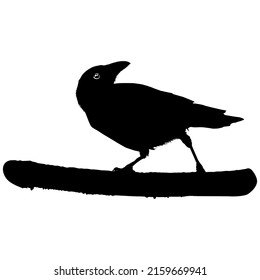 The Crow Silhouette for Logo or Graphic Design Element. Vector Illustration