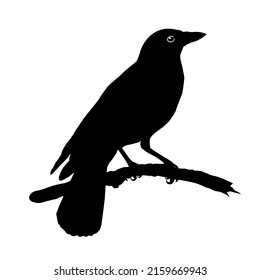 The Crow Silhouette for Logo or Graphic Design Element. Vector Illustration