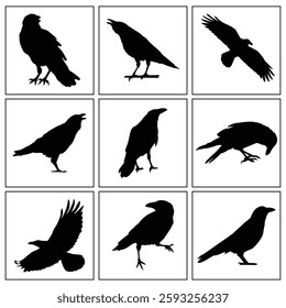 Crow Silhouette Pack - Crow icons