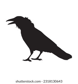 crow silhouette set collection isolated black on white background vector illustration