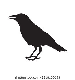 Kollektion von Crow Silhouette einzeln auf schwarz-weißem Hintergrund, Vektorgrafik