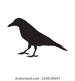 crow silhouette set collection isolated black on white background vector illustration