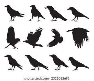 crow silhouette set collection isolated black on white background vector illustration