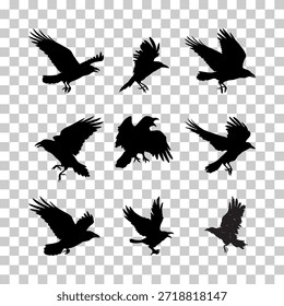 Conjunto de silueta de cuervo, Vector de silueta de cuervo volador sobre un fondo transparente. 