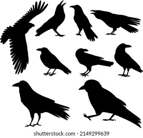 crow silhouette set, on white background, isolated, vector