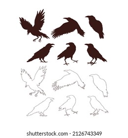 Crow silhouette in various poses fly stand sit vector illustration set isolated on white. Line art style raven figures print collection for Halloween or tee shirt design.