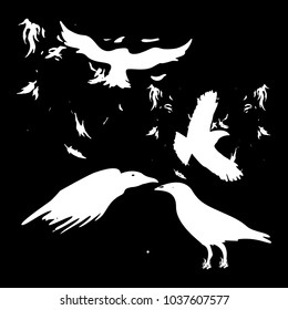 crow silhouette vector