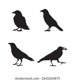 Crow Silhouette Vector Set Black Bird Symbols Collection Isolated on White Background