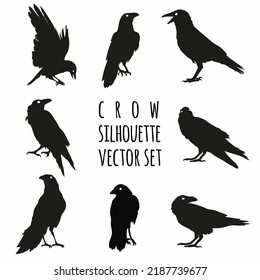 crow silhouette vector set, raven vector set